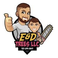 Spotlight: Dylan Colwell on Growing a Team-First Tree Care Operation in St. Petersburg